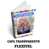 Imagem 4