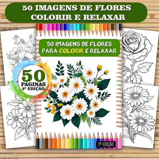 Imagem 1