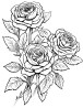 Imagem 5