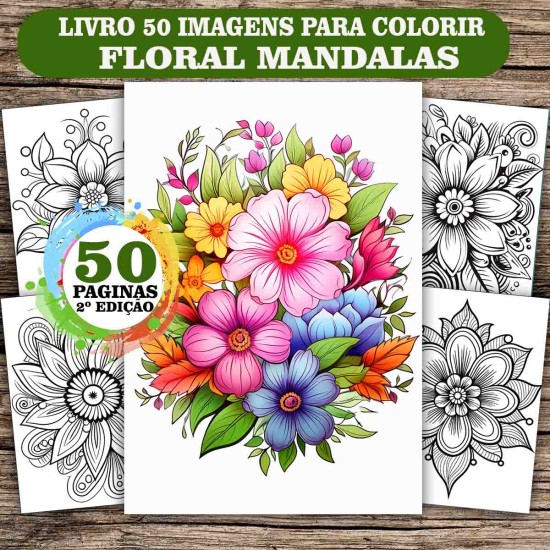 Imagem 1